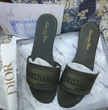 Christian Dior Dway slides